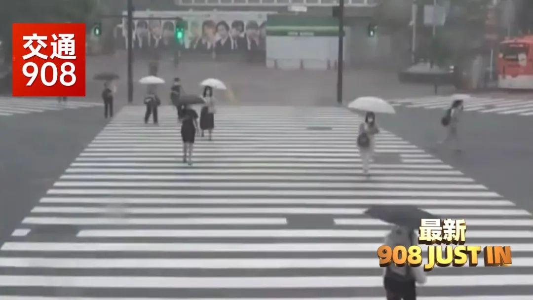 台风巴威最早路径分析预测